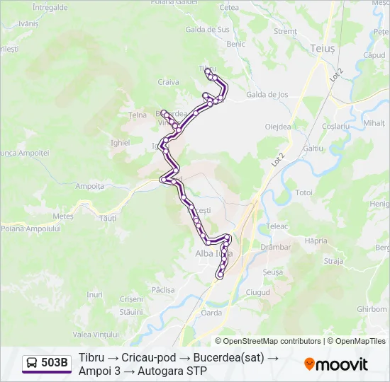 503B Bus Line Map