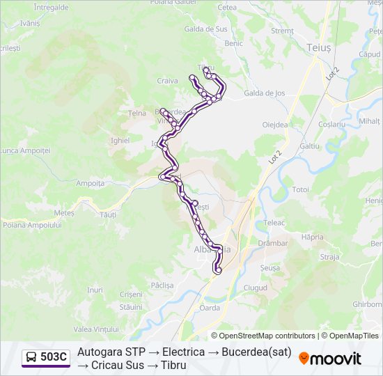 503C Bus Line Map