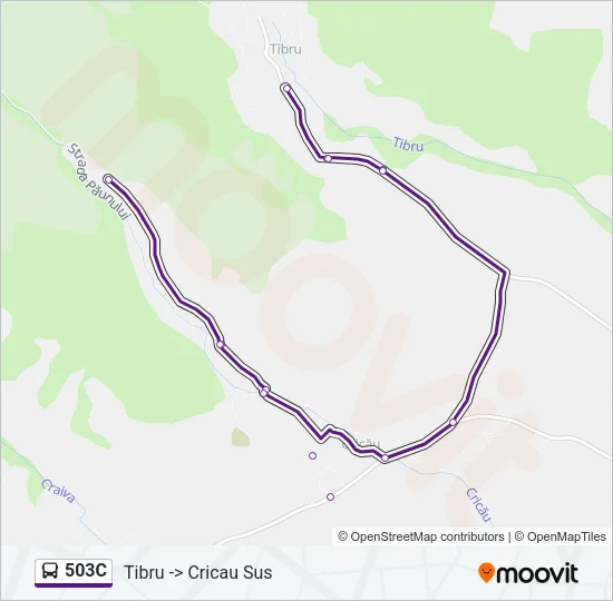 503C Bus Line Map