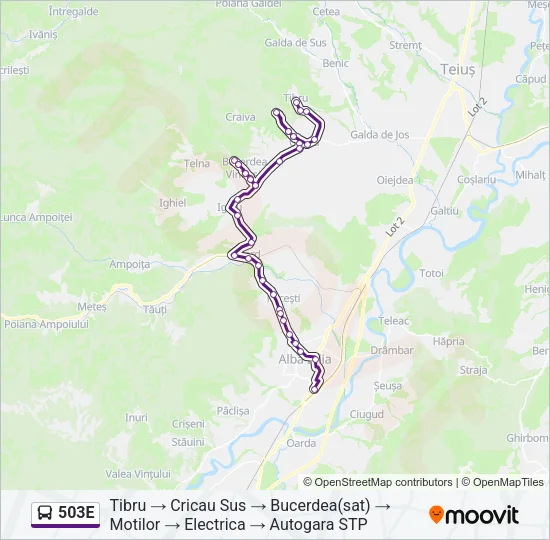 503E Bus Line Map