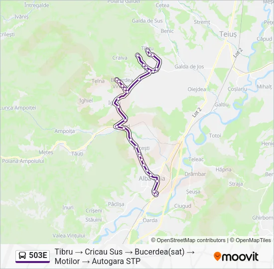 503E Bus Line Map