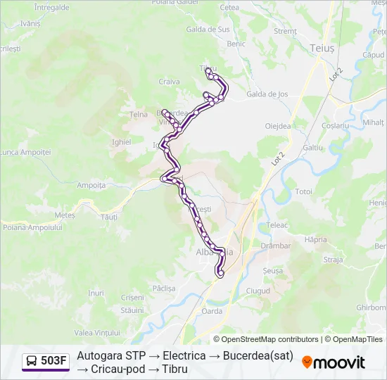 503F Bus Line Map