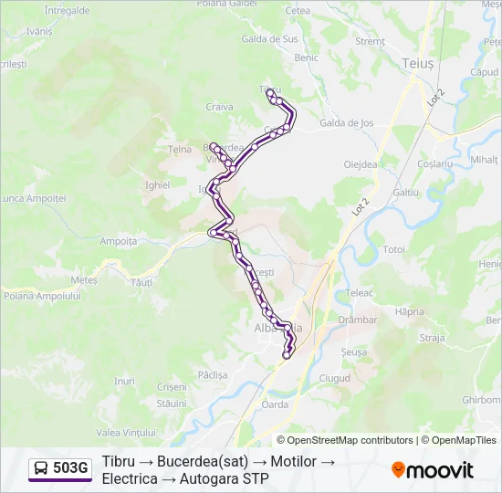 503G Bus Line Map