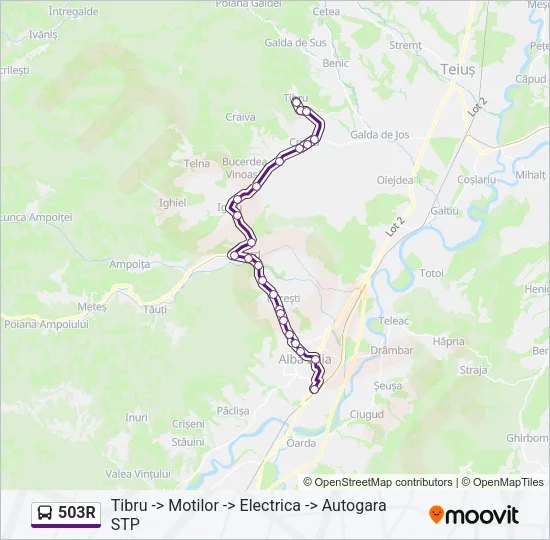 503R Bus Line Map