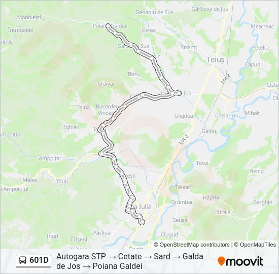 601D Bus Line Map