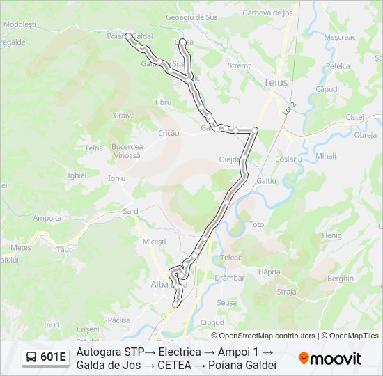 601E Bus Line Map