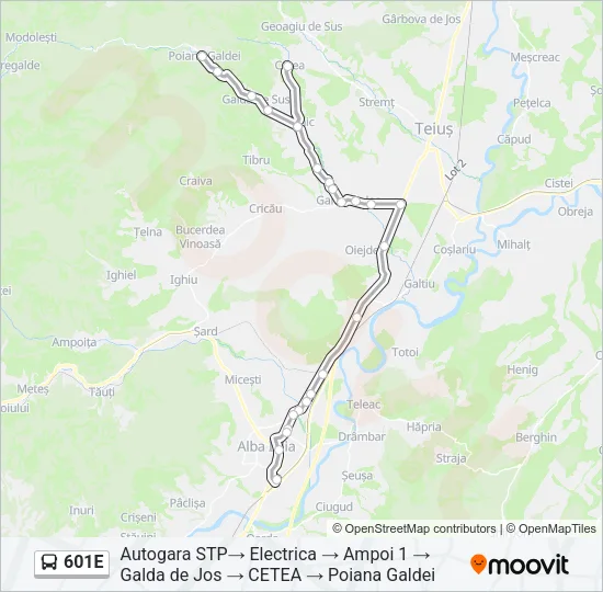 601E Bus Line Map