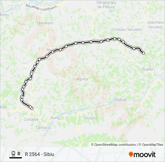 R Train Line Map
