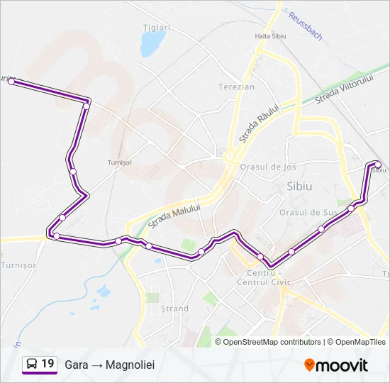 19 Bus Line Map