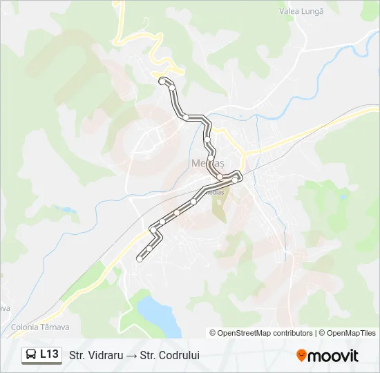 L13 Bus Line Map