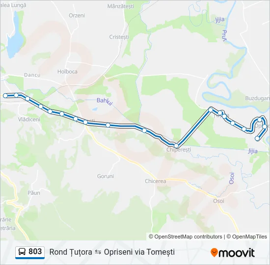 803 Bus Line Map