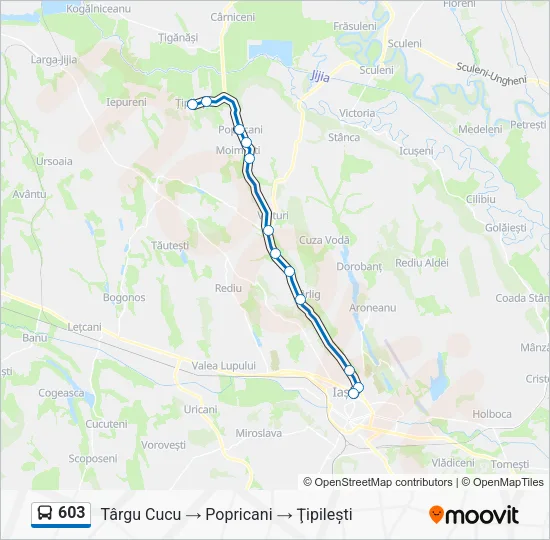 603 Bus Line Map