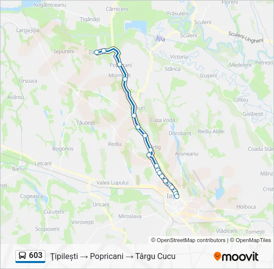 603 Bus Line Map
