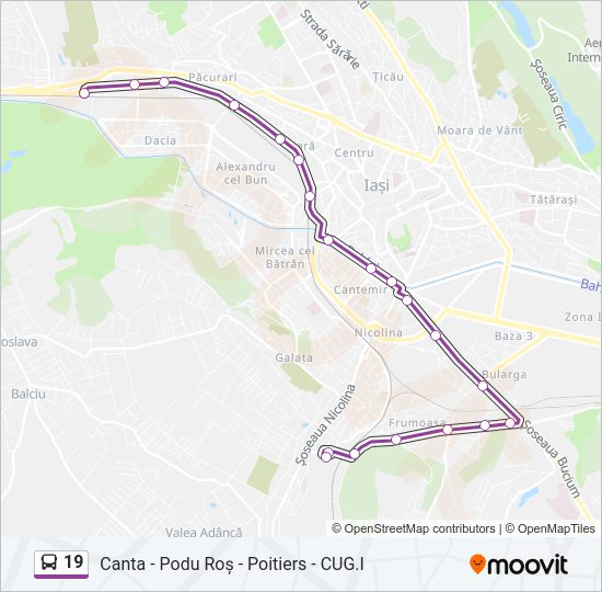 19 Bus Line Map