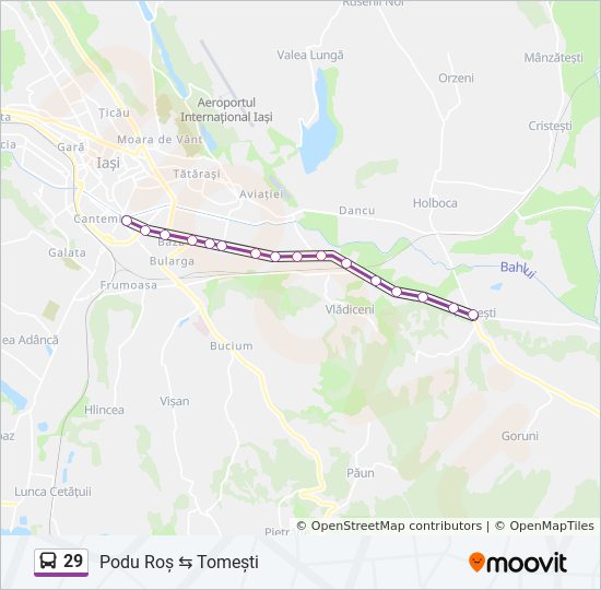 First Directly Grafting Traseu 29: Program, Stații & Hărți - Podu Roș → Rond Țuțora → Tomești  (Actualizat)