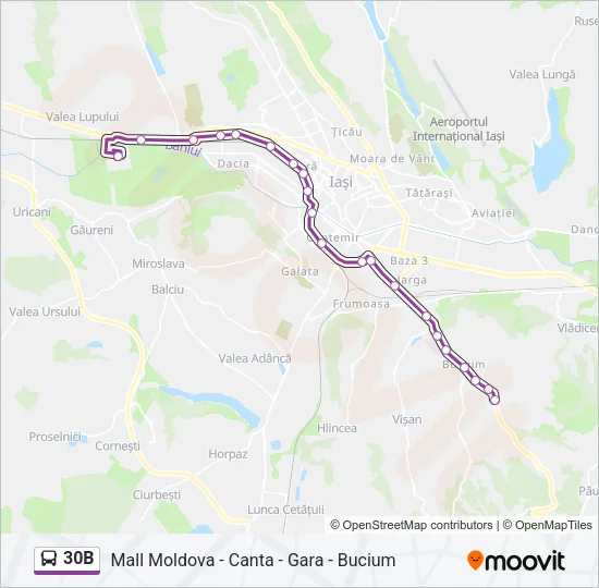 30B Bus Line Map