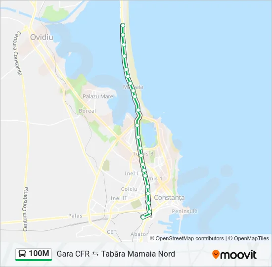 100M Bus Line Map