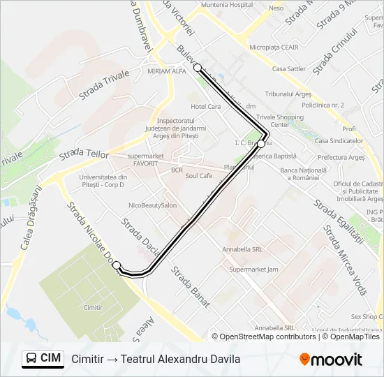 CIM Bus Line Map