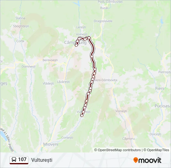 Hartă linie autobuz 107