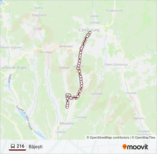 Hartă linie autobuz 216