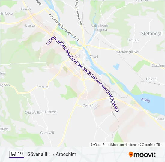 19 Bus Line Map