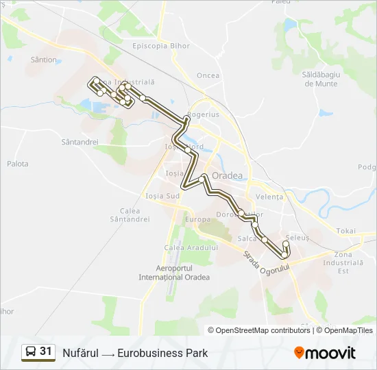 31 Bus Line Map
