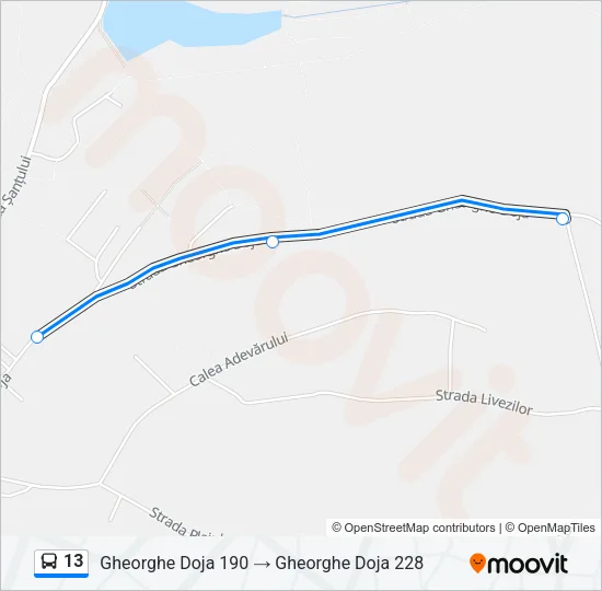 13 Bus Line Map