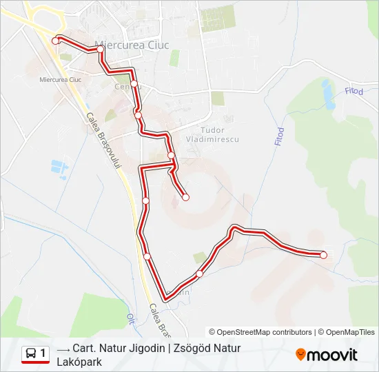 1 Bus Line Map