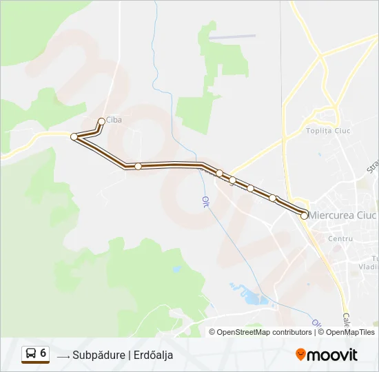6 Bus Line Map