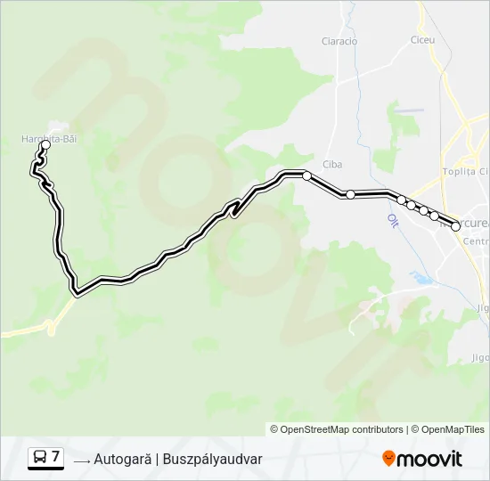7 Bus Line Map