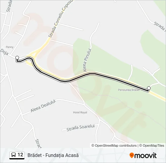 12 Bus Line Map