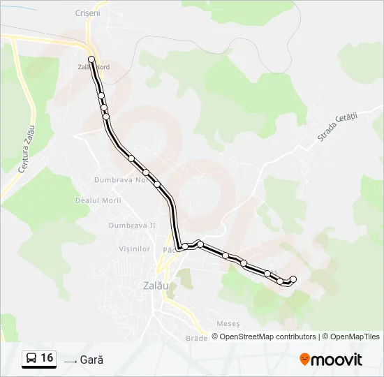 16 Bus Line Map