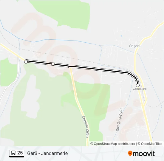 25 Bus Line Map