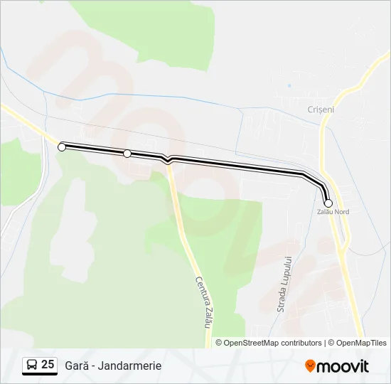 25 Bus Line Map