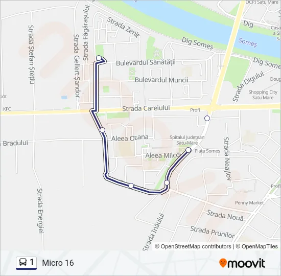 1 Bus Line Map