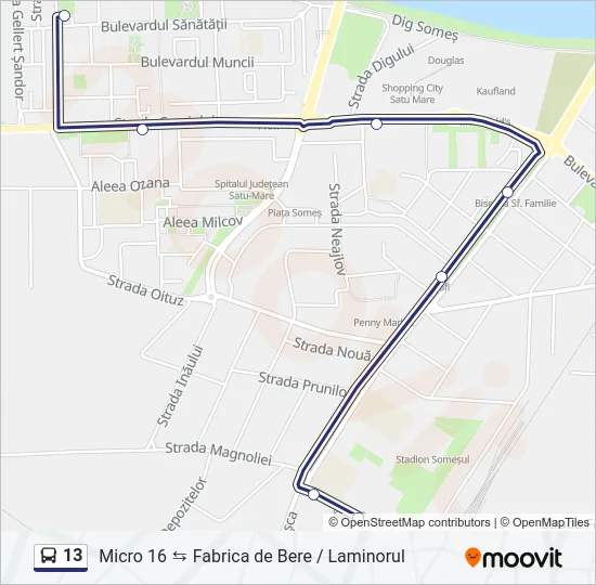 13 Bus Line Map