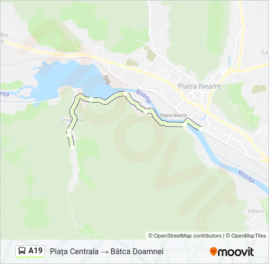A19 Bus Line Map
