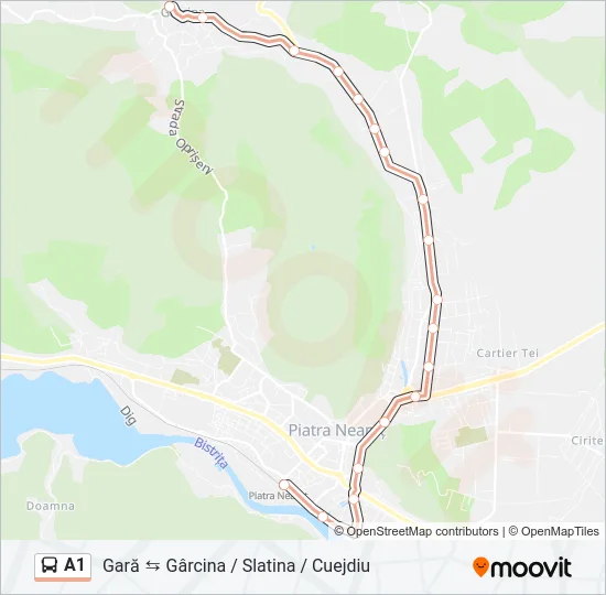 A1 Bus Line Map