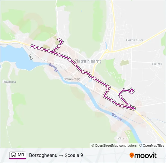 M1 Bus Line Map