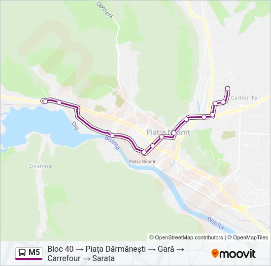M5 Bus Line Map