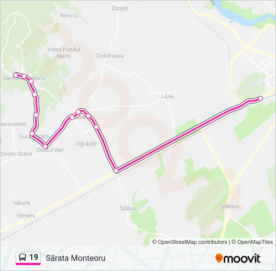 19 Bus Line Map