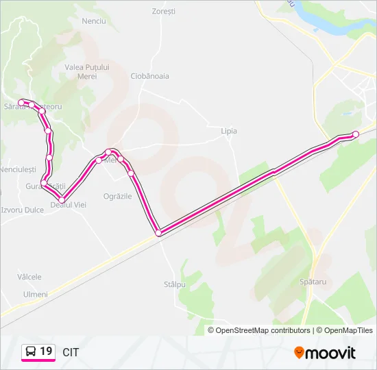 19 Bus Line Map