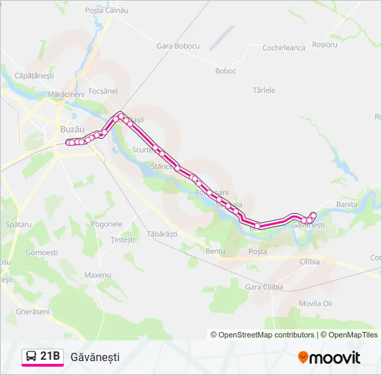 21B Bus Line Map