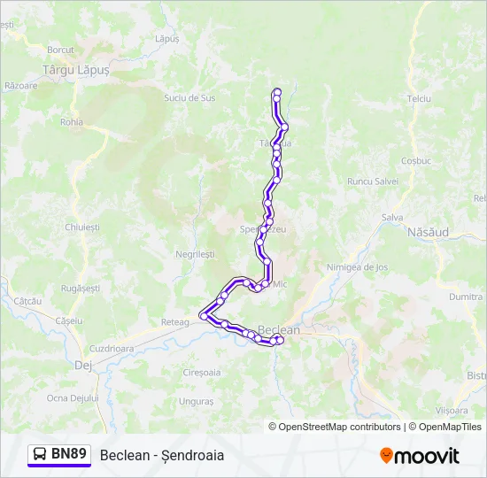 BN89 Bus Line Map