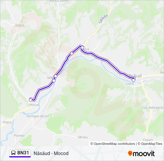BN31 Bus Line Map