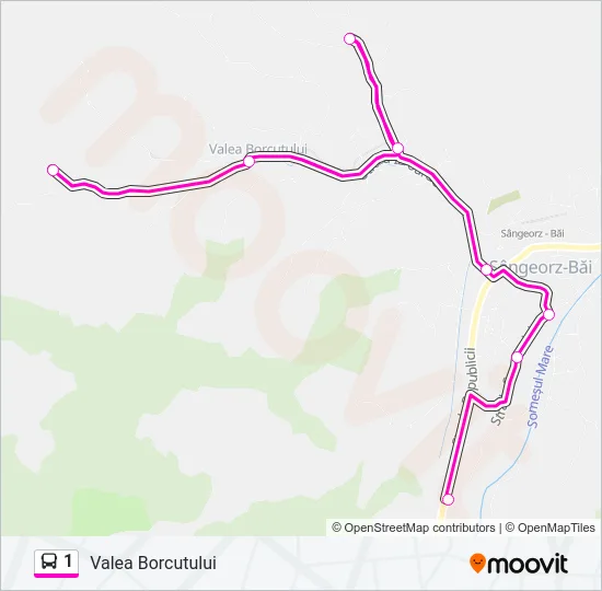 1 Bus Line Map