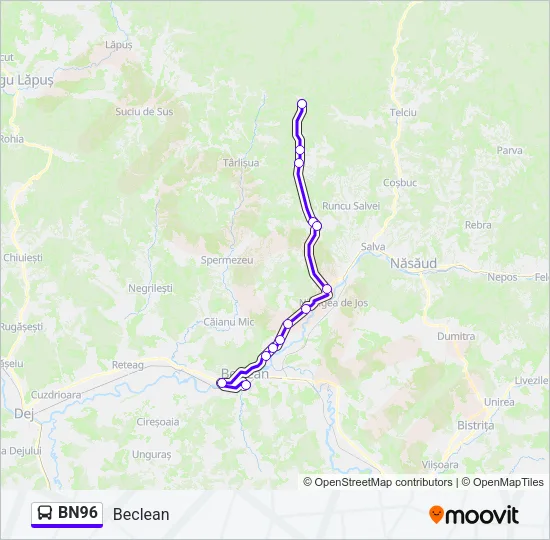 BN96 Bus Line Map