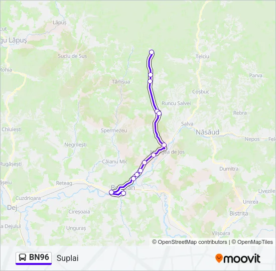 BN96 Bus Line Map