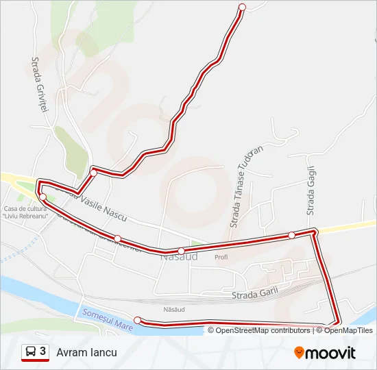 3 Bus Line Map