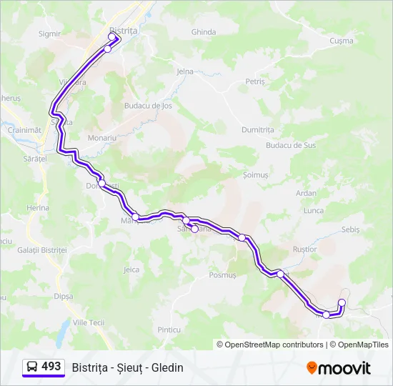 493 Bus Line Map